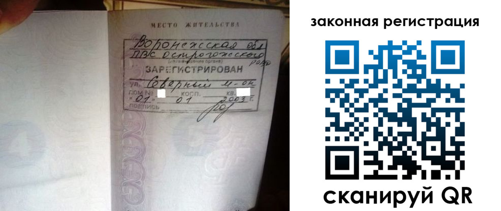 прописка поиск в Петропавловске-Камчатском